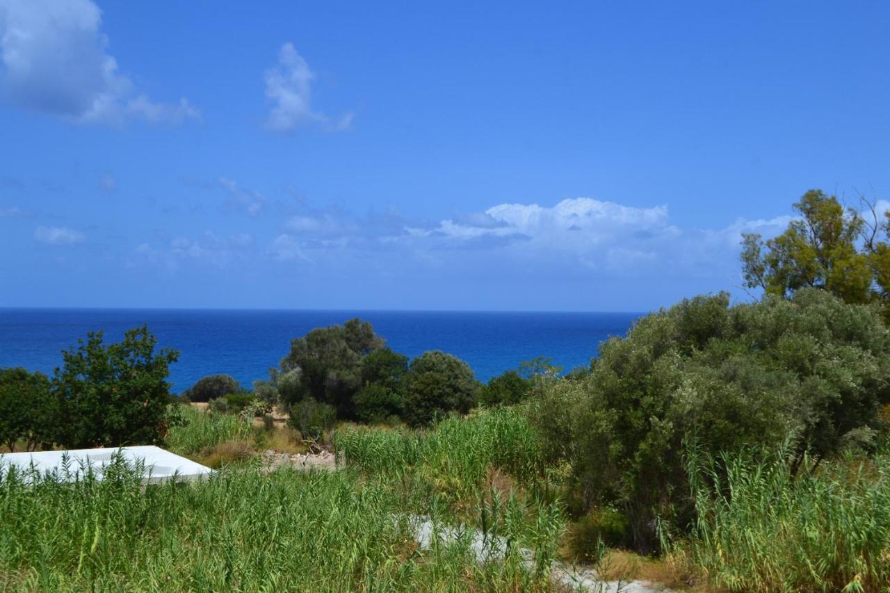 Campus Dei - Tropea Rooms エクステリア 写真